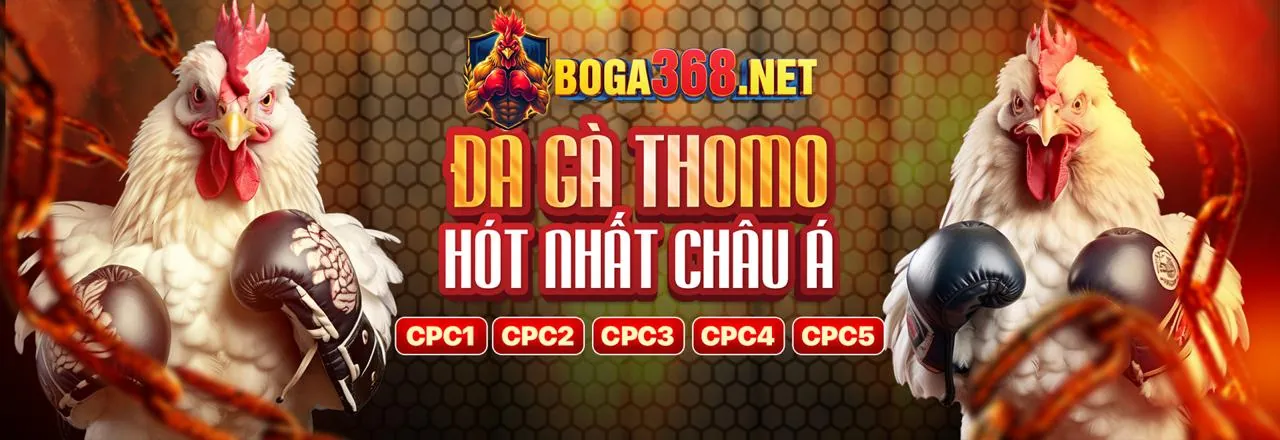 Đá gà trực tuyến kịch tính tại so66 nhà cái